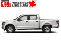2019 Ford F-150 XLT 4WD SuperCrew 5.5' Box Exterior Shot 7