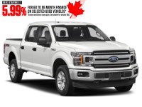 2019 Ford F-150 XLT 4WD SuperCrew 5.5' Box Exterior Shot 9