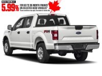 2019 Ford F-150 XLT 4WD SuperCrew 5.5' Box Exterior Shot 10