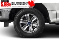 2019 Ford F-150 XLT 4WD SuperCrew 5.5' Box Exterior Shot 5
