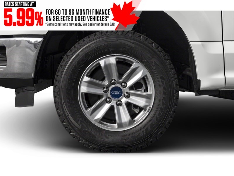 2019 Ford F-150 XLT 4WD SuperCrew 5.5' Box Exterior Shot 5