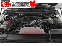 2019 Ford F-150 XLT 4WD SuperCrew 5.5' Box Exterior Shot 3