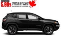 2021 Jeep Compass Trailhawk Elite 4x4 Exterior Shot 11