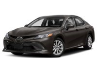 2019 Toyota Camry LE Auto Exterior Shot 1