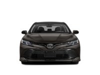 2019 Toyota Camry LE Auto Exterior Shot 6