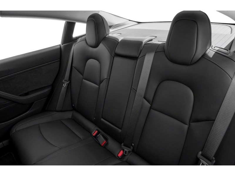 2020 Tesla Model 3 Standard Range Plus RWD Interior Shot 2