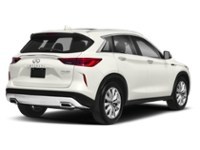 2019 INFINITI QX50 LUXE AWD Exterior Shot 2