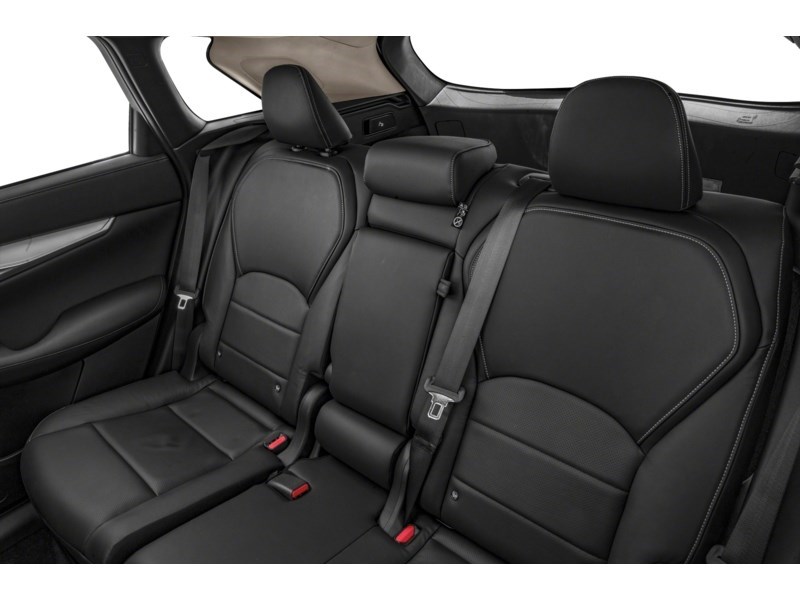 2019 INFINITI QX50 LUXE AWD Interior Shot 5