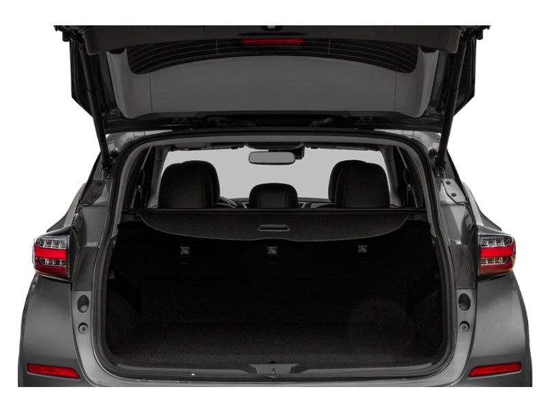 2019 Nissan Murano Platinum Exterior Shot 4