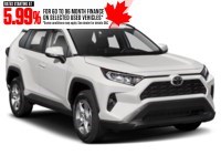 2019 Toyota RAV4 AWD XLE Exterior Shot 8