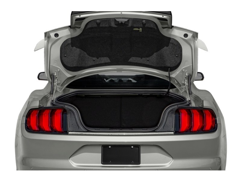 2019 Ford Mustang GT Fastback Exterior Shot 4