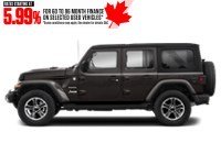 2020 Jeep Wrangler Unlimited Sahara 4x4 Exterior Shot 6