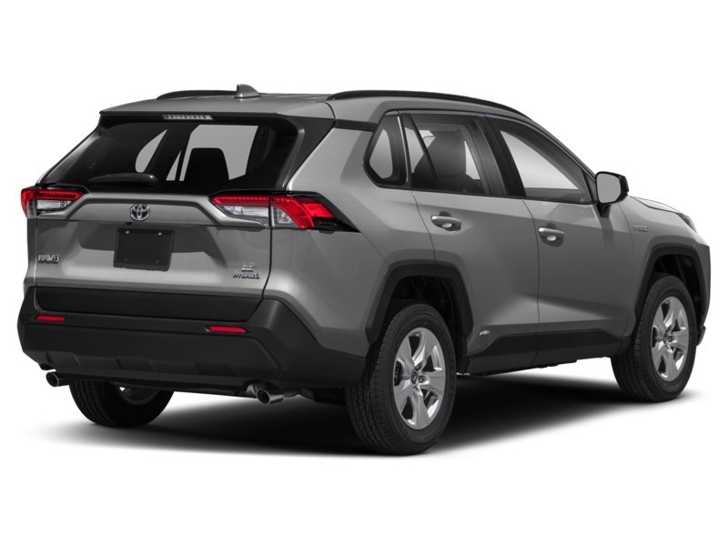 2019 Toyota RAV4 Hybrid AWD Hybrid LE Exterior Shot 2