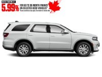 2023 Dodge Durango R/T AWD Exterior Shot 10