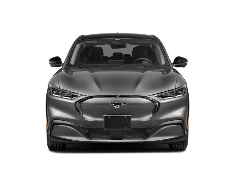 2021 Ford Mustang Mach-E Premium Exterior Shot 5
