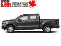 2022 Ford F-150 XL 4WD SuperCrew 5.5' Box Exterior Shot 6