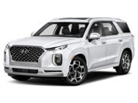 2021 Hyundai Palisade Ultimate Calligraphy 7-Passenger AWD Exterior Shot 1