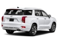 2021 Hyundai Palisade Ultimate Calligraphy 7-Passenger AWD Exterior Shot 2