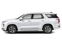 2021 Hyundai Palisade Ultimate Calligraphy 7-Passenger AWD Exterior Shot 6