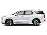 2021 Hyundai Palisade Ultimate Calligraphy 7-Passenger AWD Exterior Shot 6