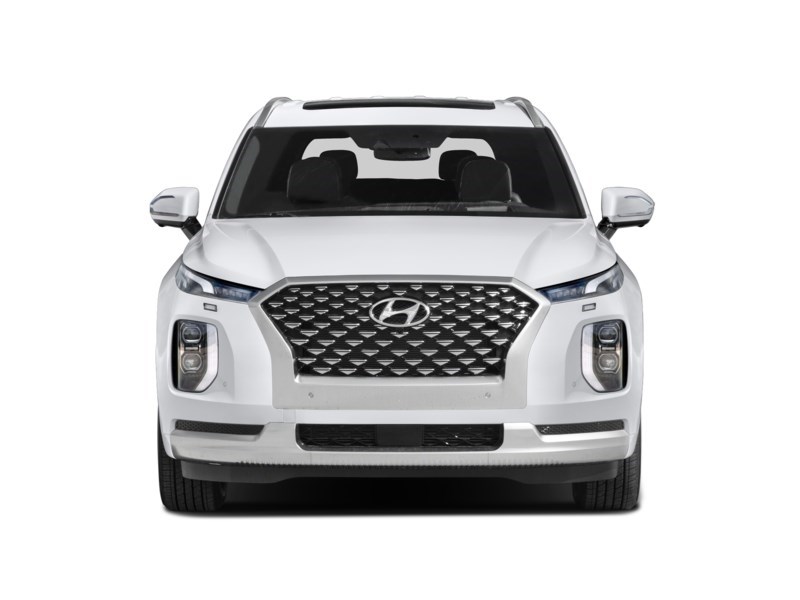 2021 Hyundai Palisade Ultimate Calligraphy 7-Passenger AWD Exterior Shot 5