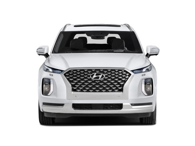2021 Hyundai Palisade Ultimate Calligraphy 7-Passenger AWD Exterior Shot 5