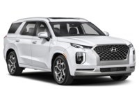 2021 Hyundai Palisade Ultimate Calligraphy 7-Passenger AWD Exterior Shot 8