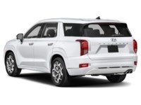2021 Hyundai Palisade Ultimate Calligraphy 7-Passenger AWD Exterior Shot 9