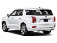 2021 Hyundai Palisade Ultimate Calligraphy 7-Passenger AWD Exterior Shot 9