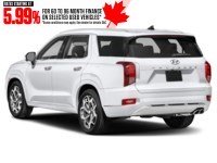 2021 Hyundai Palisade Ultimate Calligraphy 7-Passenger AWD Exterior Shot 9