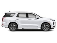 2021 Hyundai Palisade Ultimate Calligraphy 7-Passenger AWD Exterior Shot 10