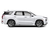 2021 Hyundai Palisade Ultimate Calligraphy 7-Passenger AWD Exterior Shot 10
