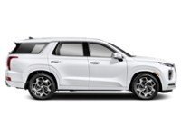 2021 Hyundai Palisade Ultimate Calligraphy 7-Passenger AWD Exterior Shot 10