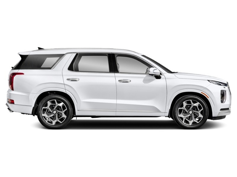 2021 Hyundai Palisade Ultimate Calligraphy 7-Passenger AWD Exterior Shot 10
