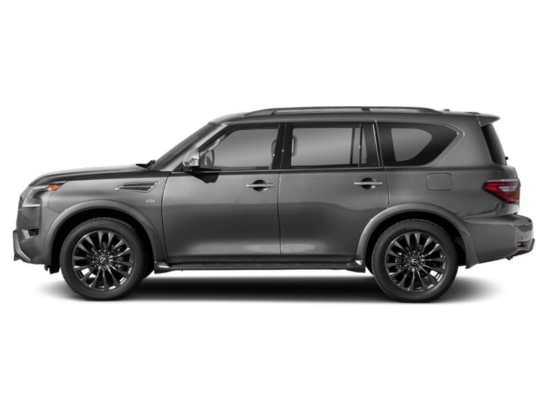 2021 Nissan Armada Platinum Exterior Shot 6