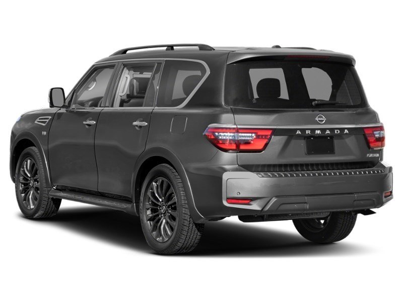 2021 Nissan Armada Platinum Exterior Shot 9