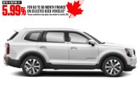 2022 Kia Telluride Nightsky AWD Exterior Shot 10