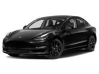 2022 Tesla Model 3 RWD Exterior Shot 1