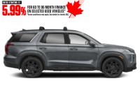 2025 Hyundai Palisade Urban 7-Passenger AWD Exterior Shot 10