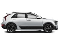 2024 Kia Niro EV Wave FWD Exterior Shot 10