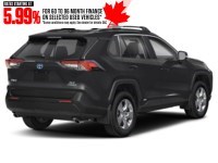 2024 Toyota RAV4 Hybrid Hybrid XLE AWD Exterior Shot 2