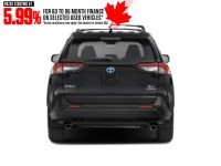 2024 Toyota RAV4 Hybrid Hybrid XLE AWD Exterior Shot 7