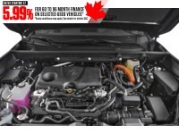 2024 Toyota RAV4 Hybrid Hybrid XLE AWD Exterior Shot 3