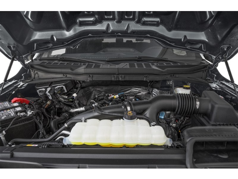 2024 Ford F-150 STX 4WD SuperCrew 5.5' Box Exterior Shot 3