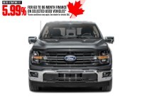2025 Ford F-150 XLT 4WD SuperCrew 6.5' Box Exterior Shot 5