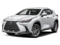 2024 Lexus NX 350h Base Exterior Shot 1