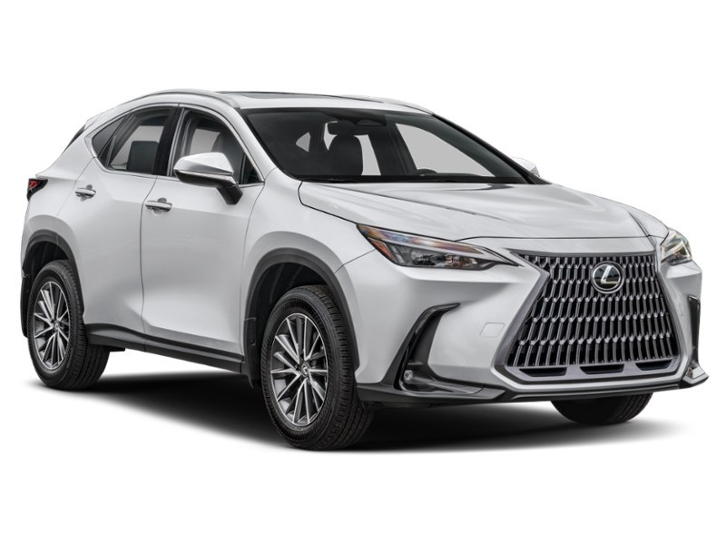 2024 Lexus NX 350h Base Exterior Shot 8