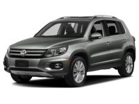 2014 Volkswagen Tiguan 4MOTION 4dr Auto Trendline Pepper Grey Metallic  Shot 4