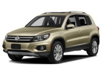 2014 Volkswagen Tiguan 4MOTION 4dr Auto Trendline White Gold Metallic  Shot 22