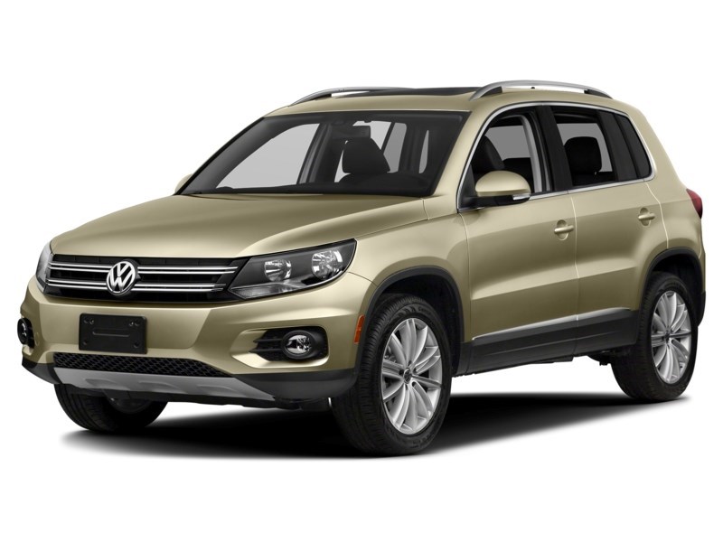 2014 Volkswagen Tiguan 4MOTION 4dr Auto Trendline White Gold Metallic  Shot 19